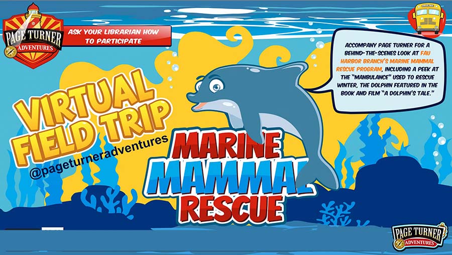 VIRTUAL FIELD TRIP:  Marine Mammal Rescue